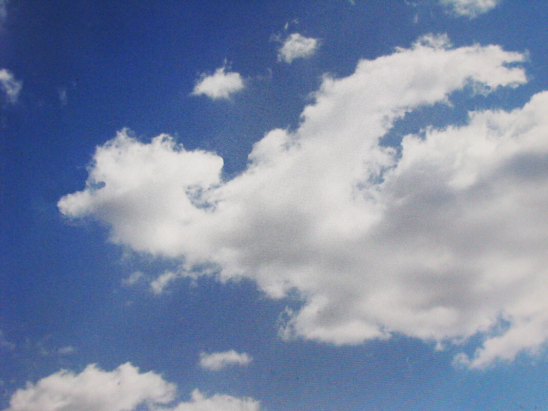 В полёте - Людмила Смородинская