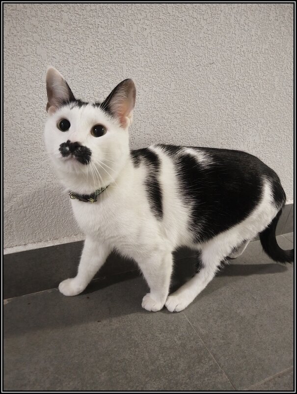 Здравствуйте! - Ольга Довженко