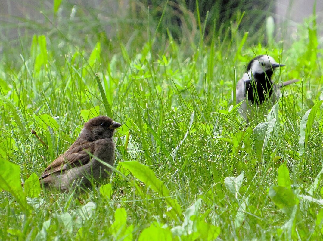 Привет! - Лариса С.