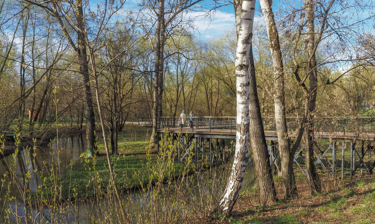 Прогулки в Весеннем Парке - юрий поляков