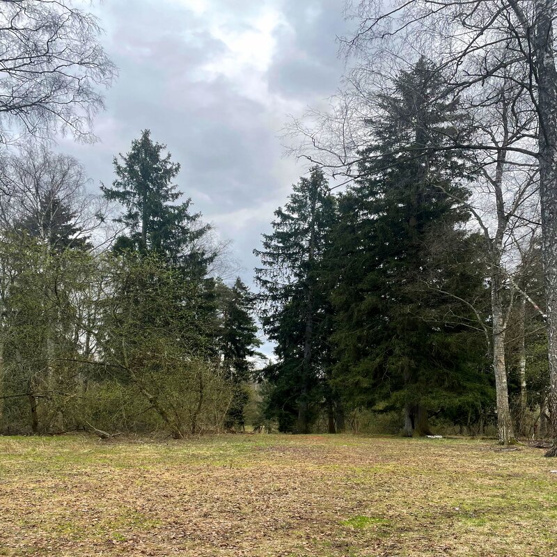 *** - Андрей Л. В.