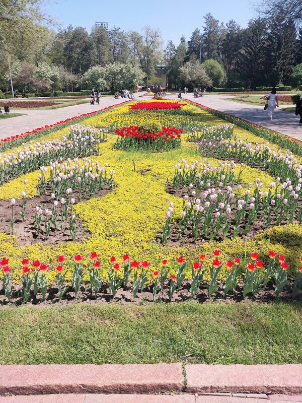 Almaty. - Murat Bukaev 