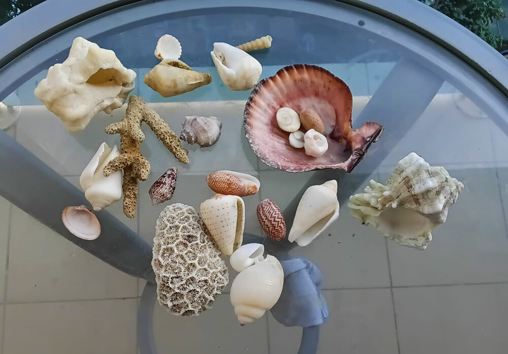 После прогулок по отливу моря - Галина Ильясова