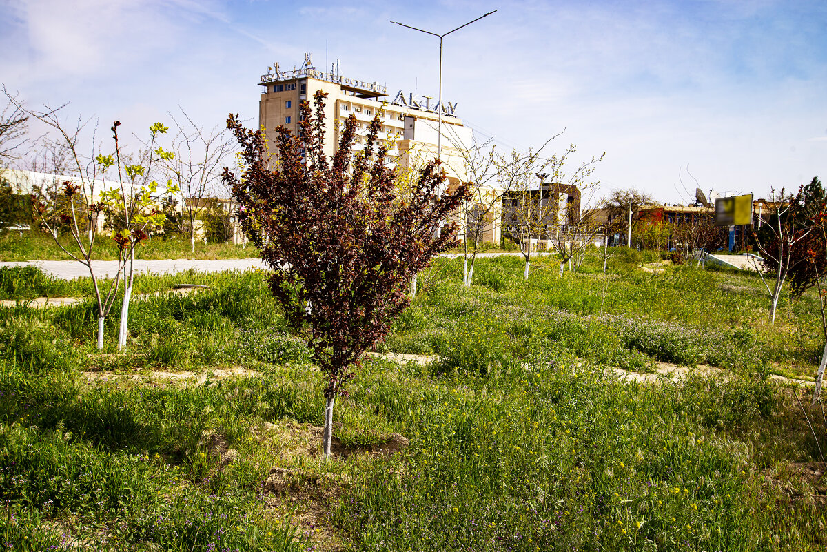 В парке - Анатолий Чикчирный