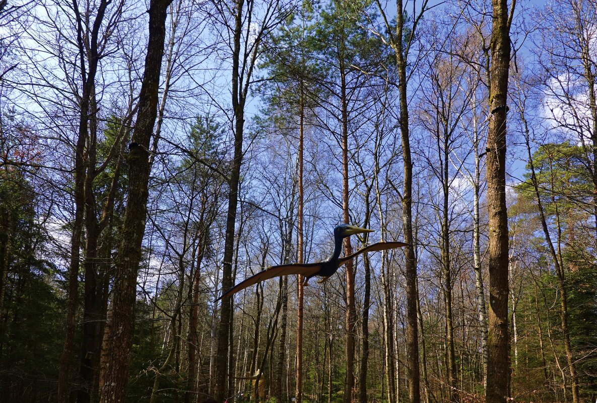 Динопарк в лесу, Ингольштадт, Германия - Галина 