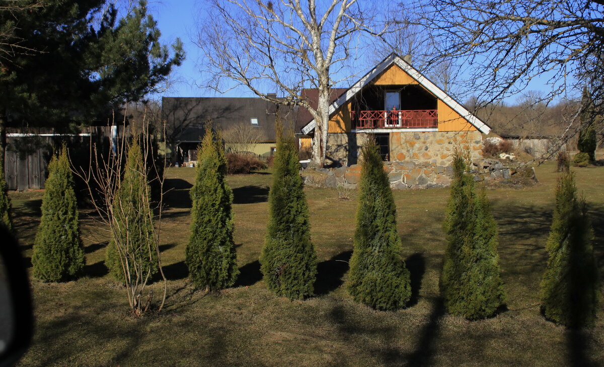 Однажды в деревеньке .. - Татьян@ Ивановна