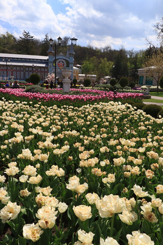 цветник - Игорь Kуленко