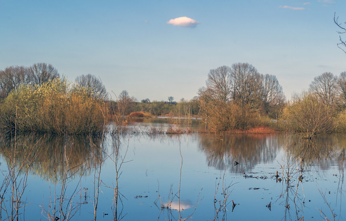 Большая вода - Сергей Цветков