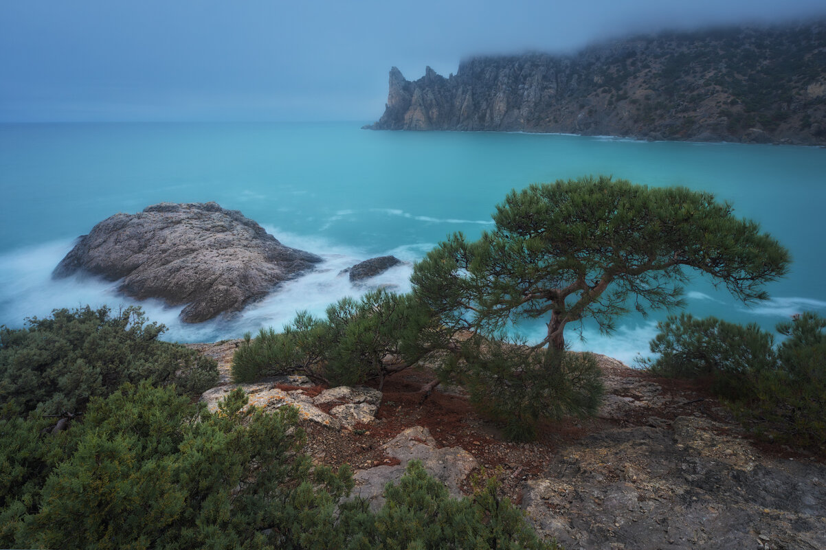 Когда Новый Свет есть, а света нет - Дмитрий Шишкин