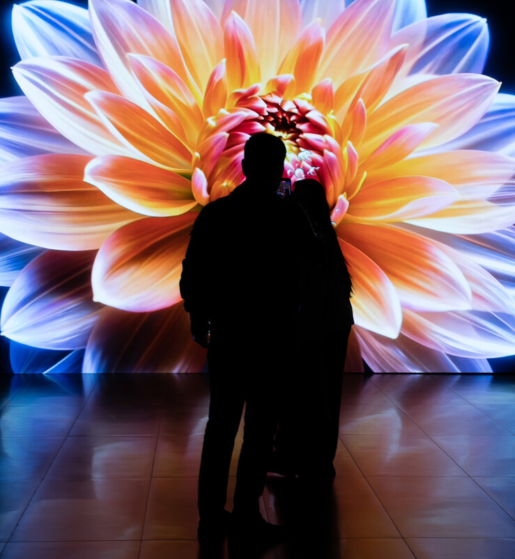 Зачарованные (1) - Игорь Викторов