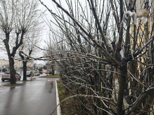 Апрель, ледяной дождь - ura Зелев