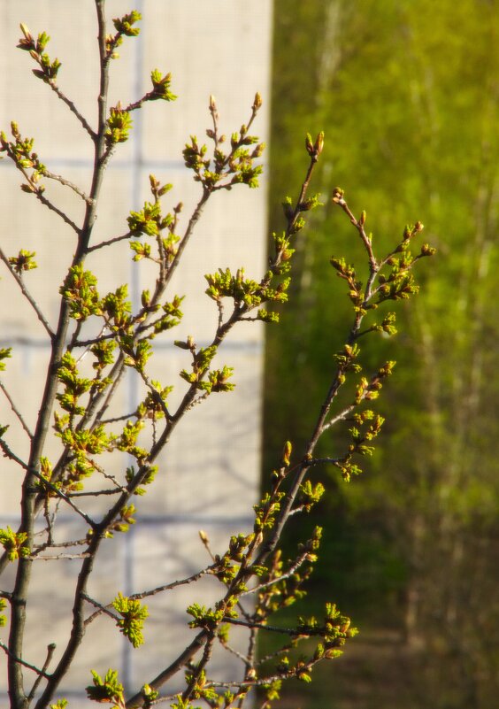 ... - Юрий Куликов