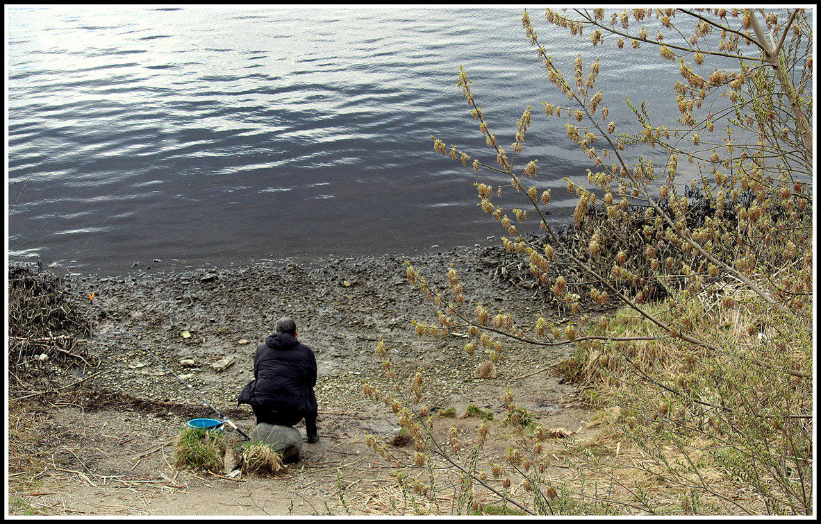 Сезон открыт.. - Aleksandr Gal