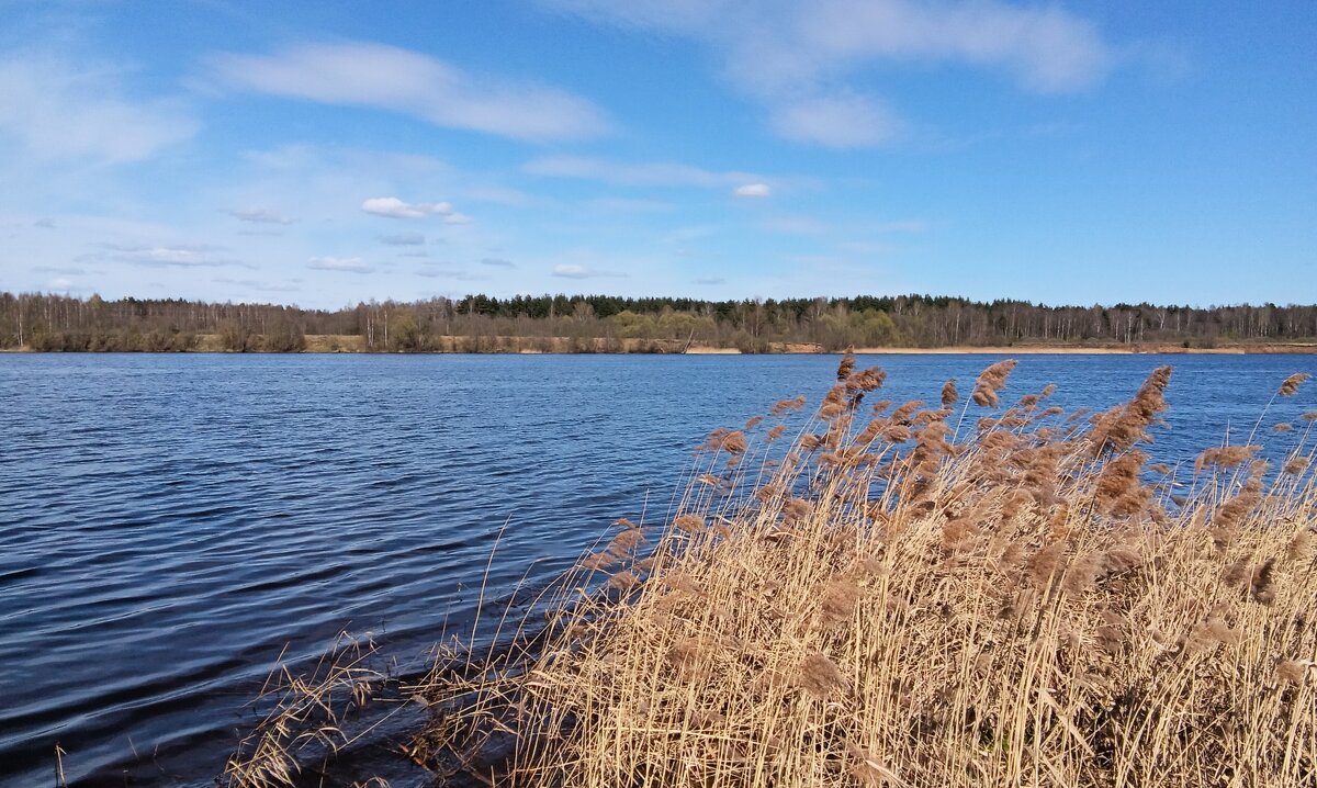 Свежий ветер - Gen Kor