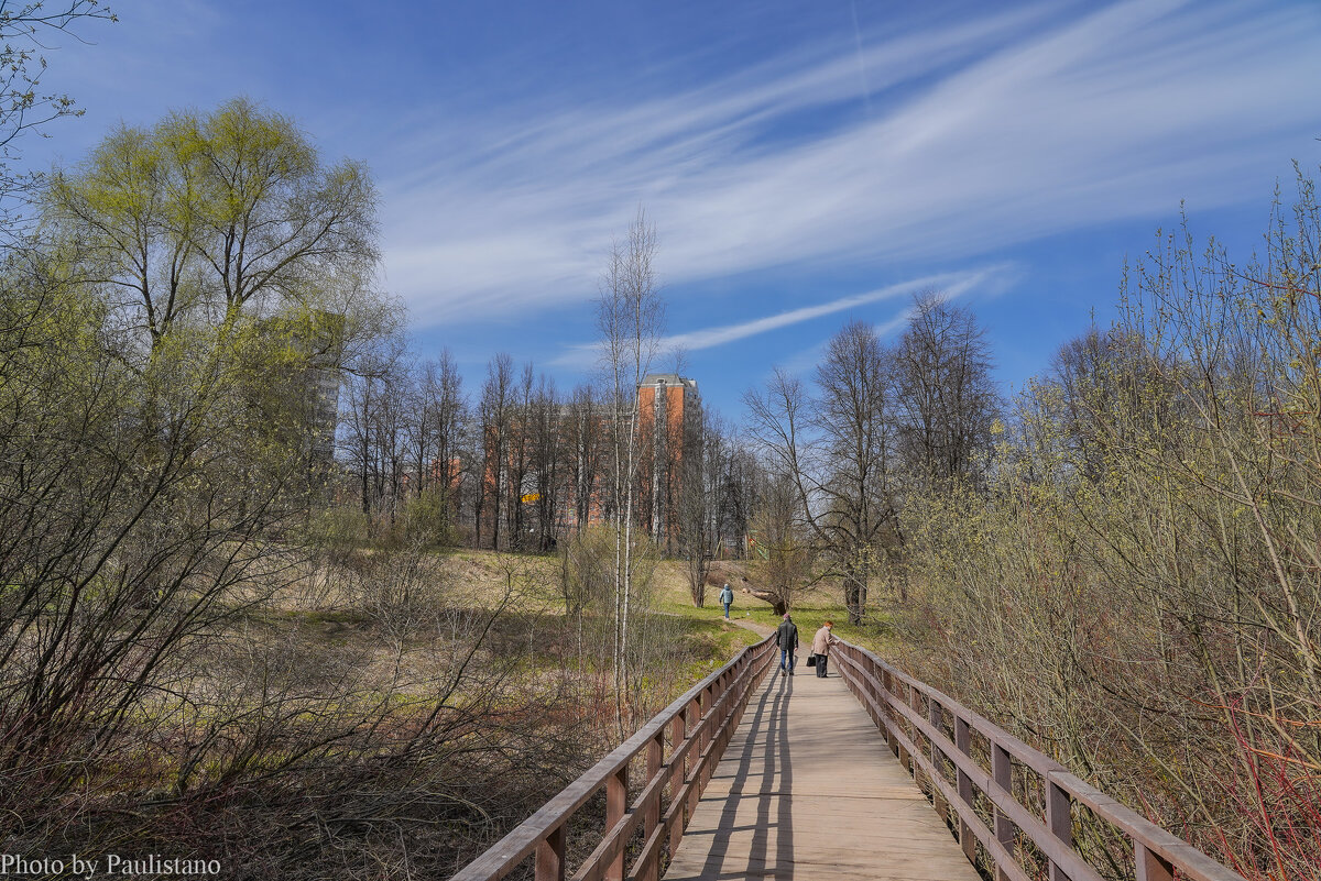 В весеннем парке... - Владимир Жданов