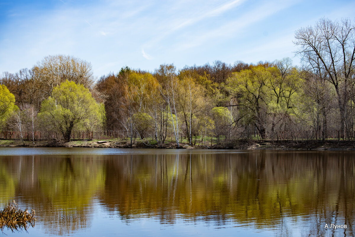 Весенние краски на берегу Большого Садового пруда. - Anatoly Lunov