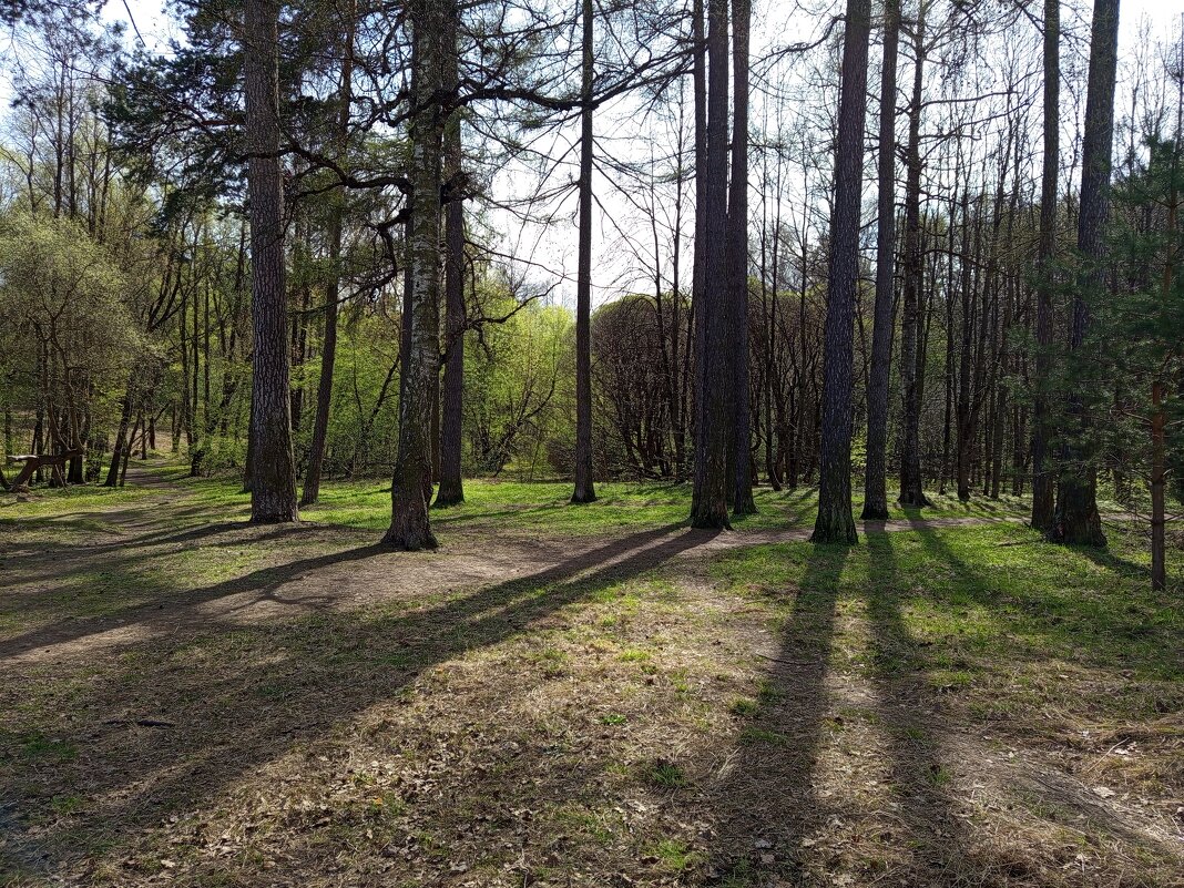 Апрельское - Андрей Лукьянов