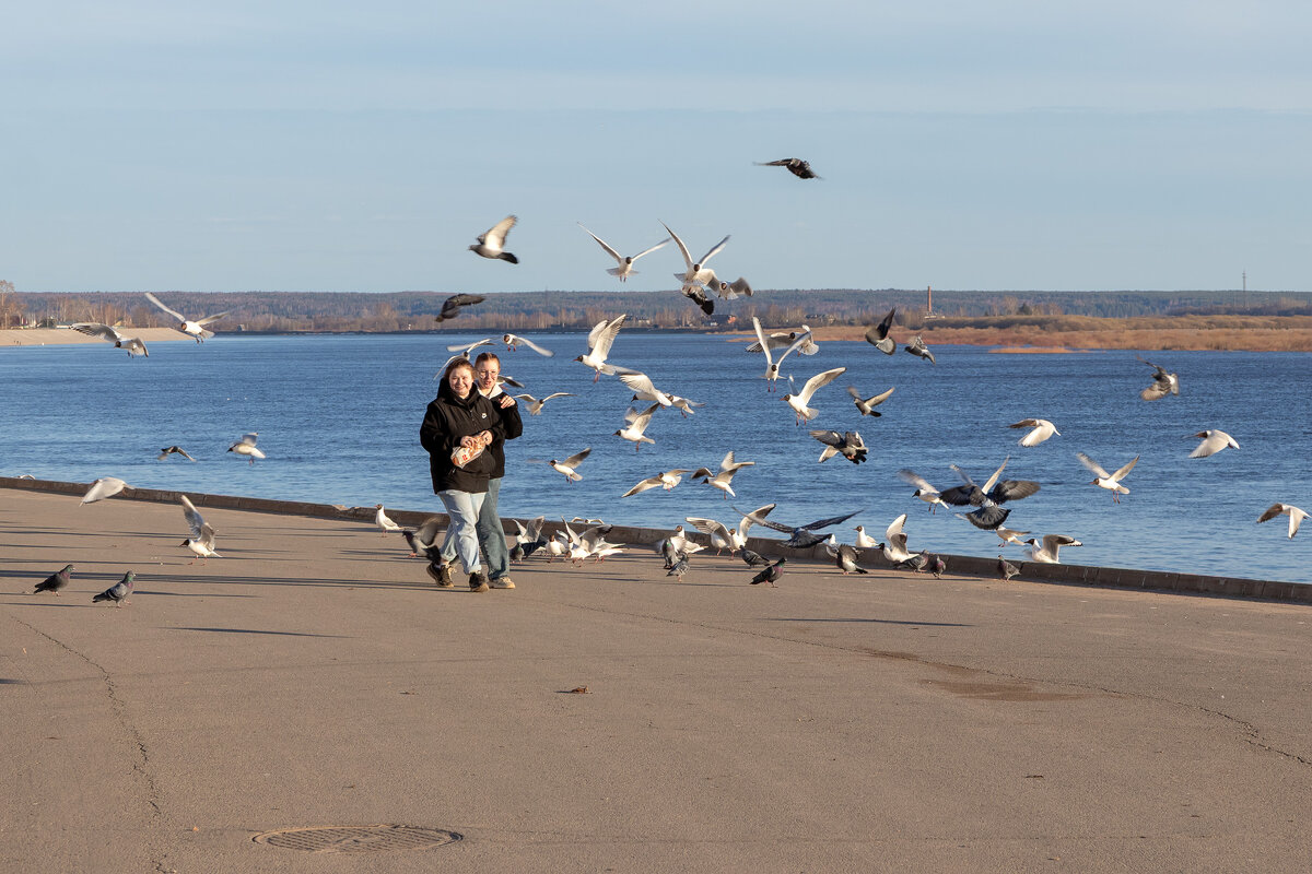 Кормилицы. Вкусный батон. - Андрей Дурапов