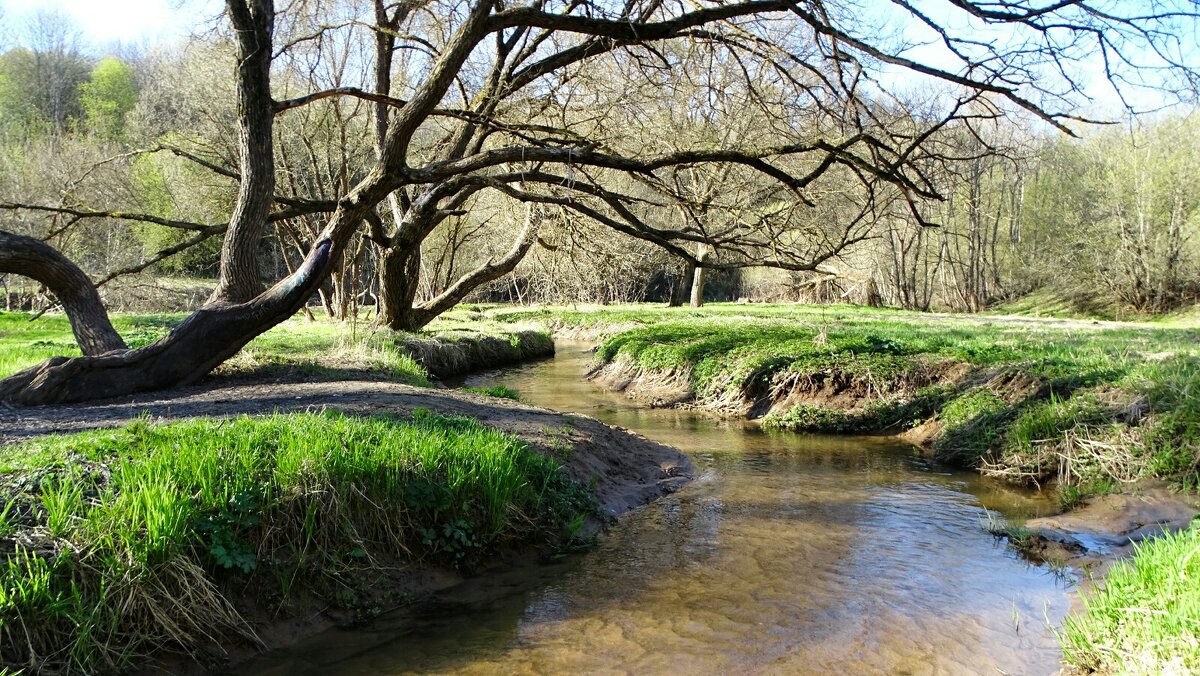 Весенний парк. - Милешкин Владимир Алексеевич 