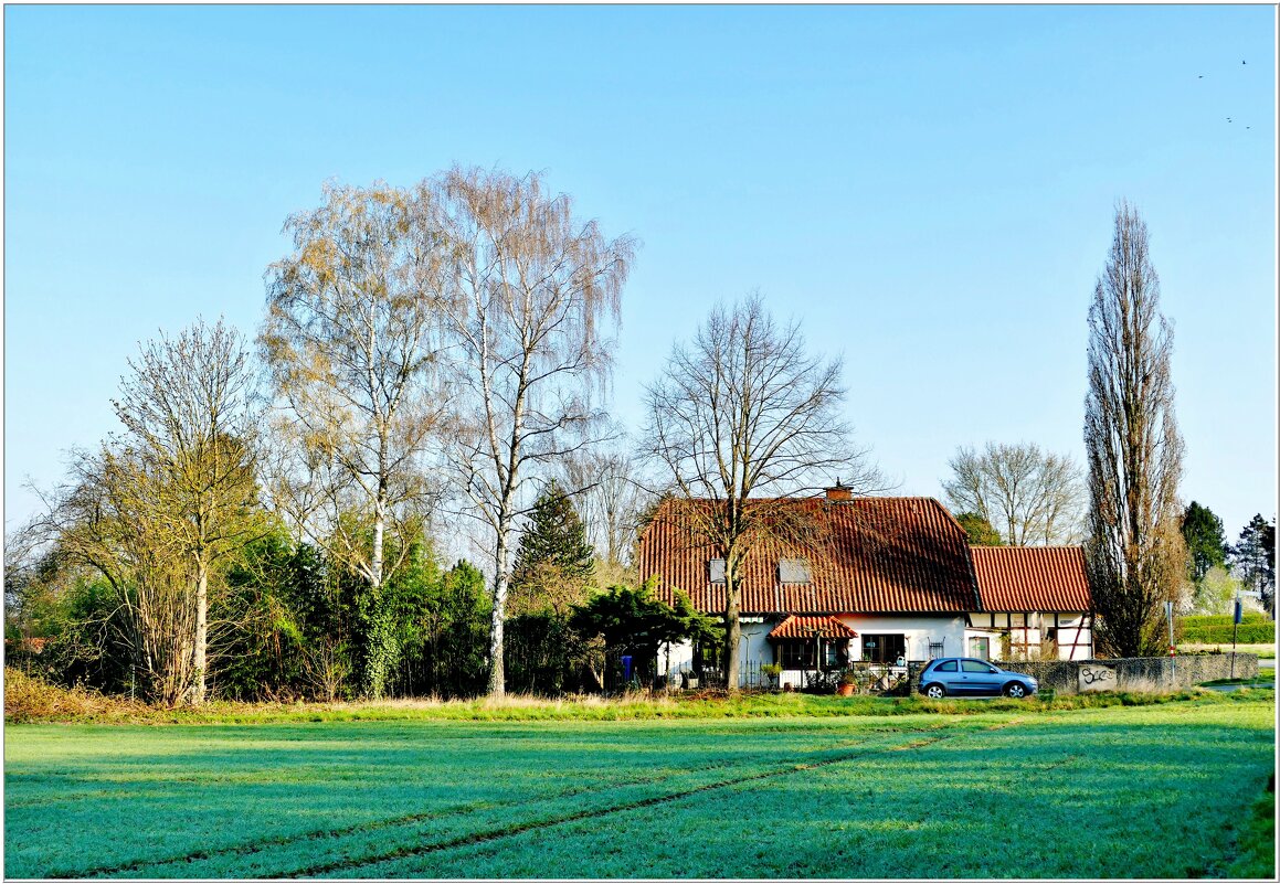 ОКРАИНА - Elvira E. 