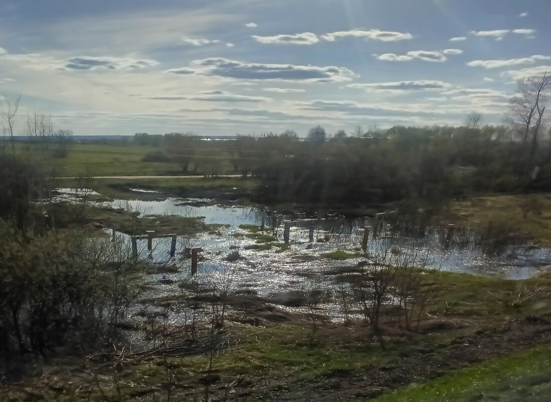 *** - РозаВетроф 