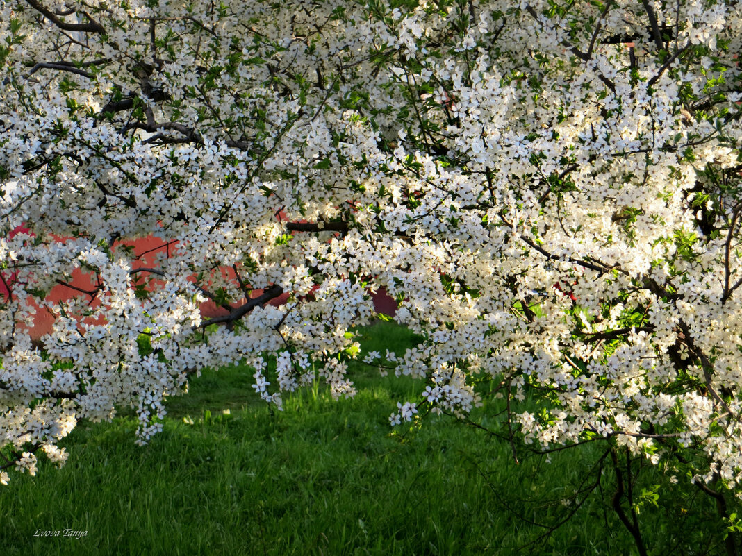 Апрель... - Татьяна Львова