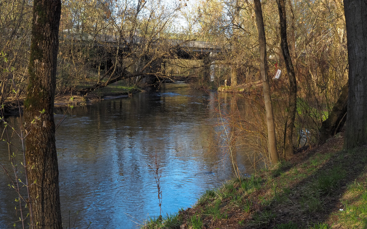 ***** - юрий поляков