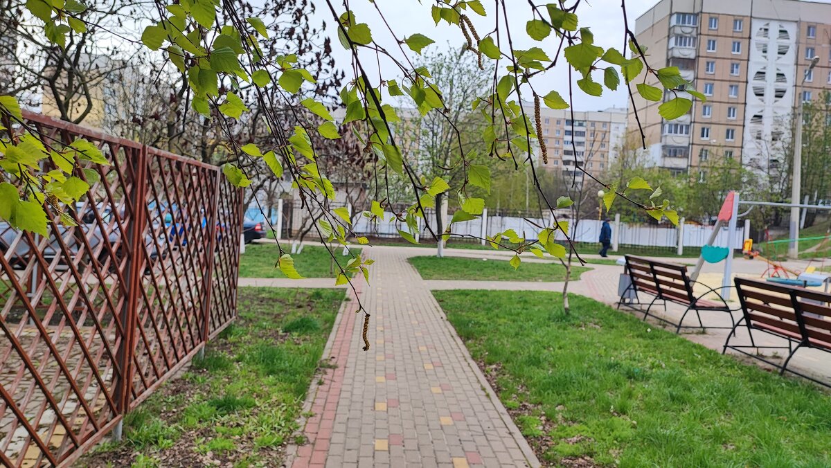 ,,, - Сергей Тимоновский