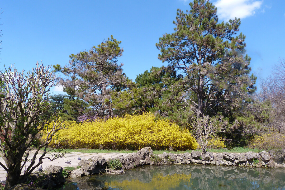 Пейзажи  Крыма - Валентин Семчишин