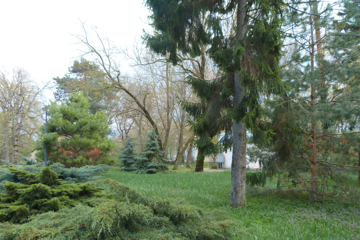 Пейзажи  Крыма - Валентин Семчишин