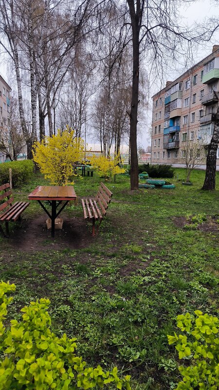 Весна на Брянщину. - Ольга 