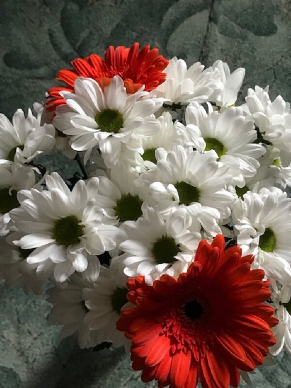 Весенние "ромашки".... - Татьяна Юрасова