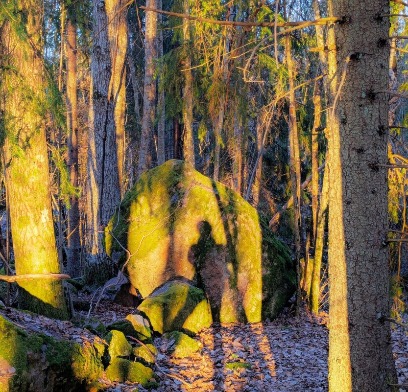 Длинные тени апрельского утра - liudmila drake