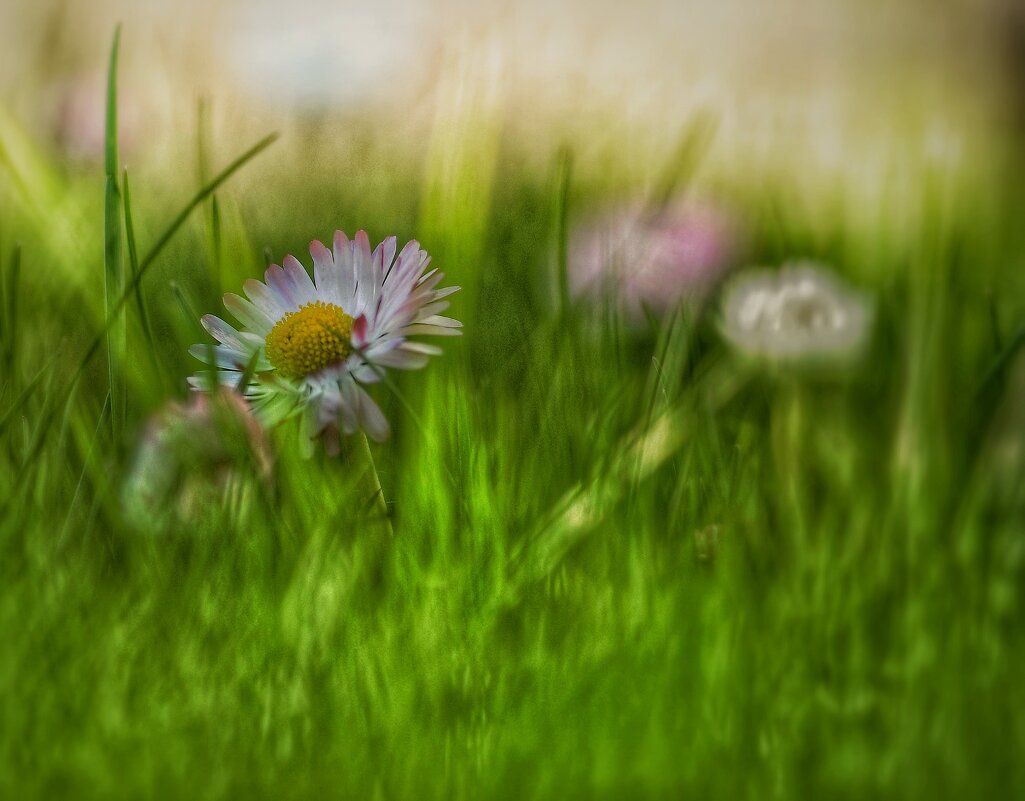 °°°°°° - Георгий Никонов