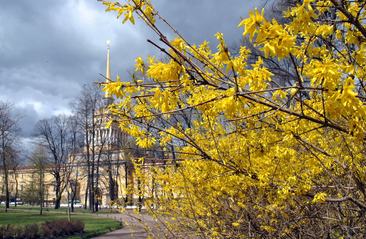 "В парке Чаир" - AleksSPb Лесниченко