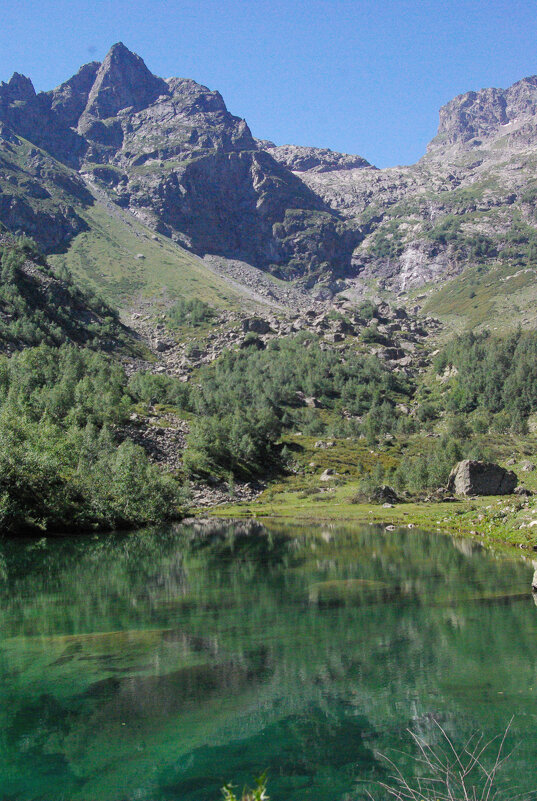 Два мира ... - Андрей Любимов