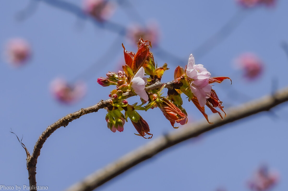 Пробуждение... - Владимир Жданов