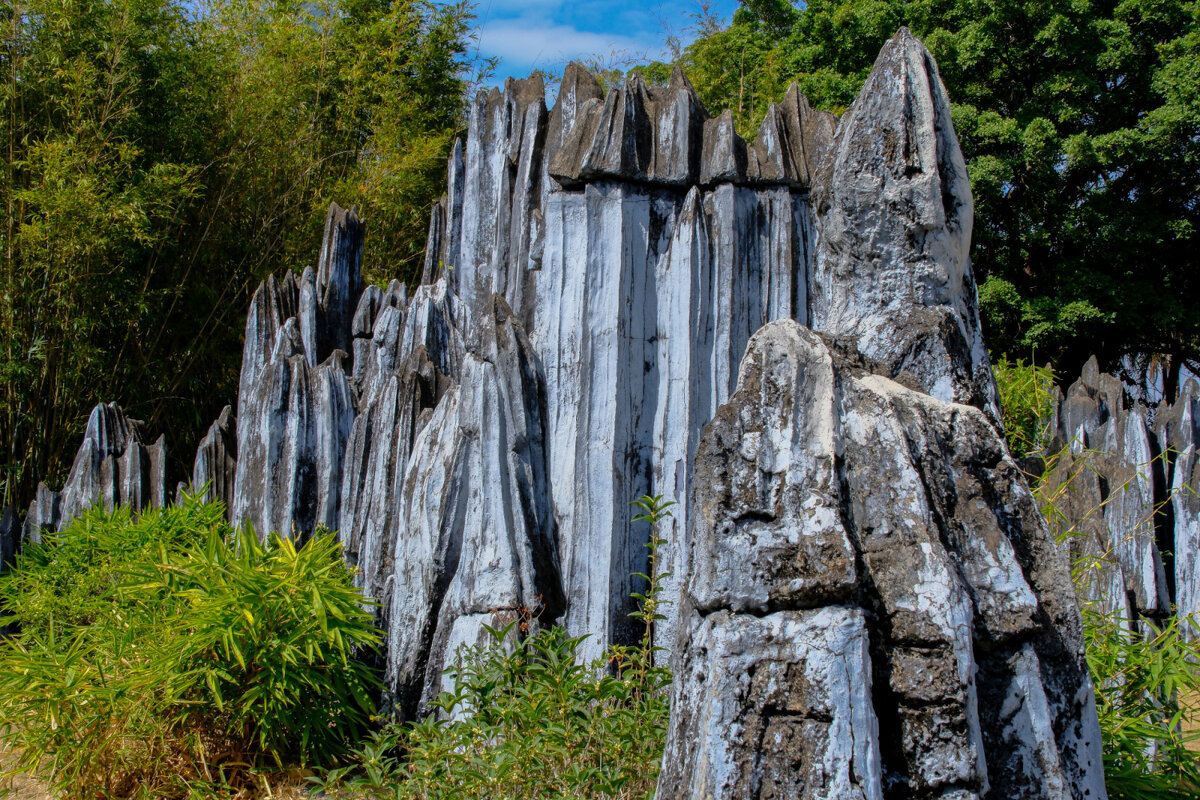 Шэньчжэнь - Георгий А