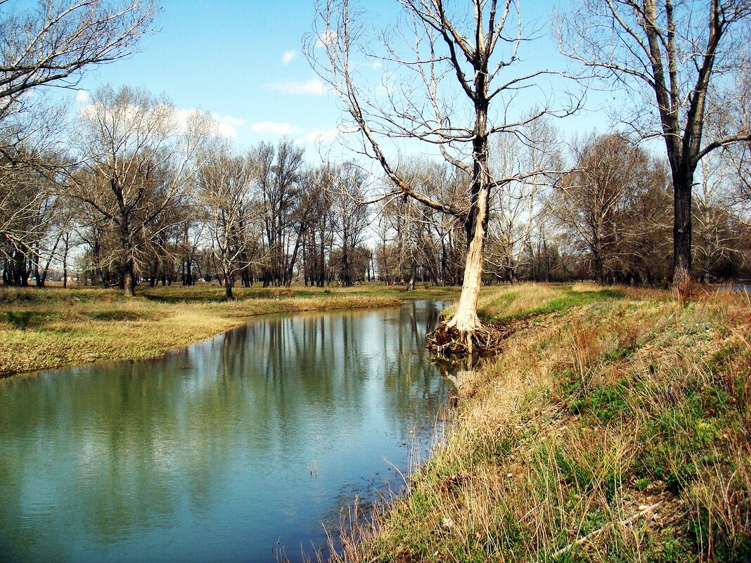 весенннеее - Aндрей Антонов