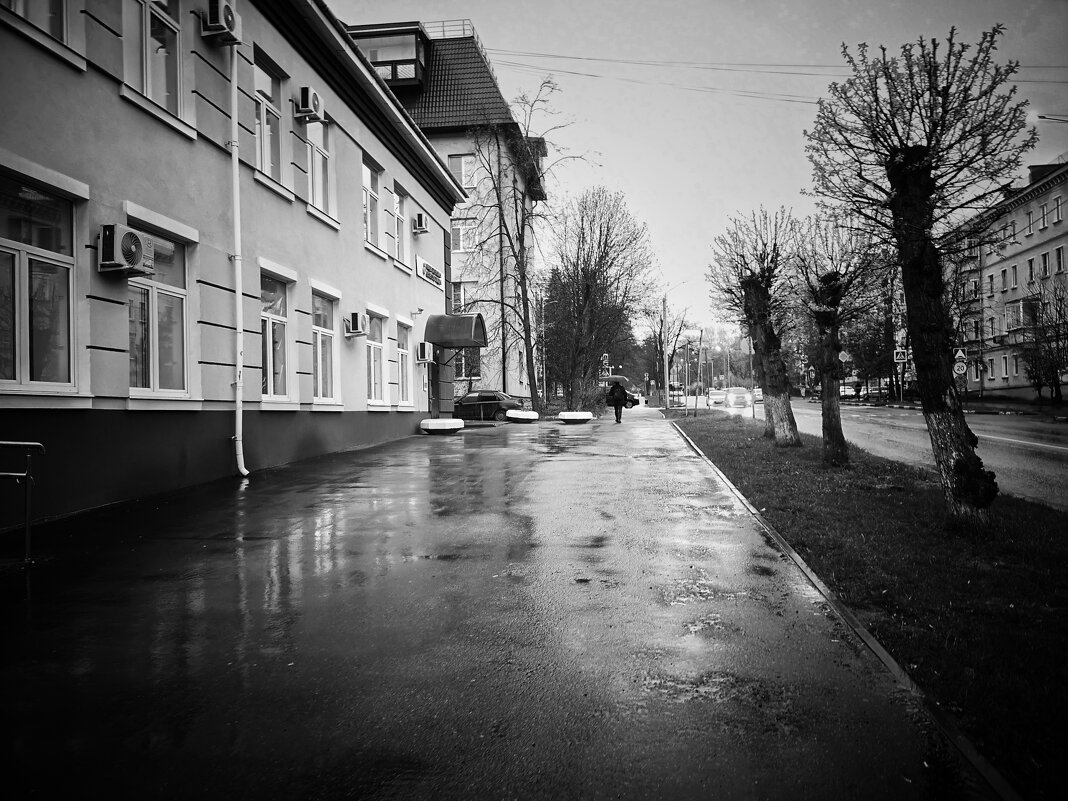 После дождя... - Алексей Архипов