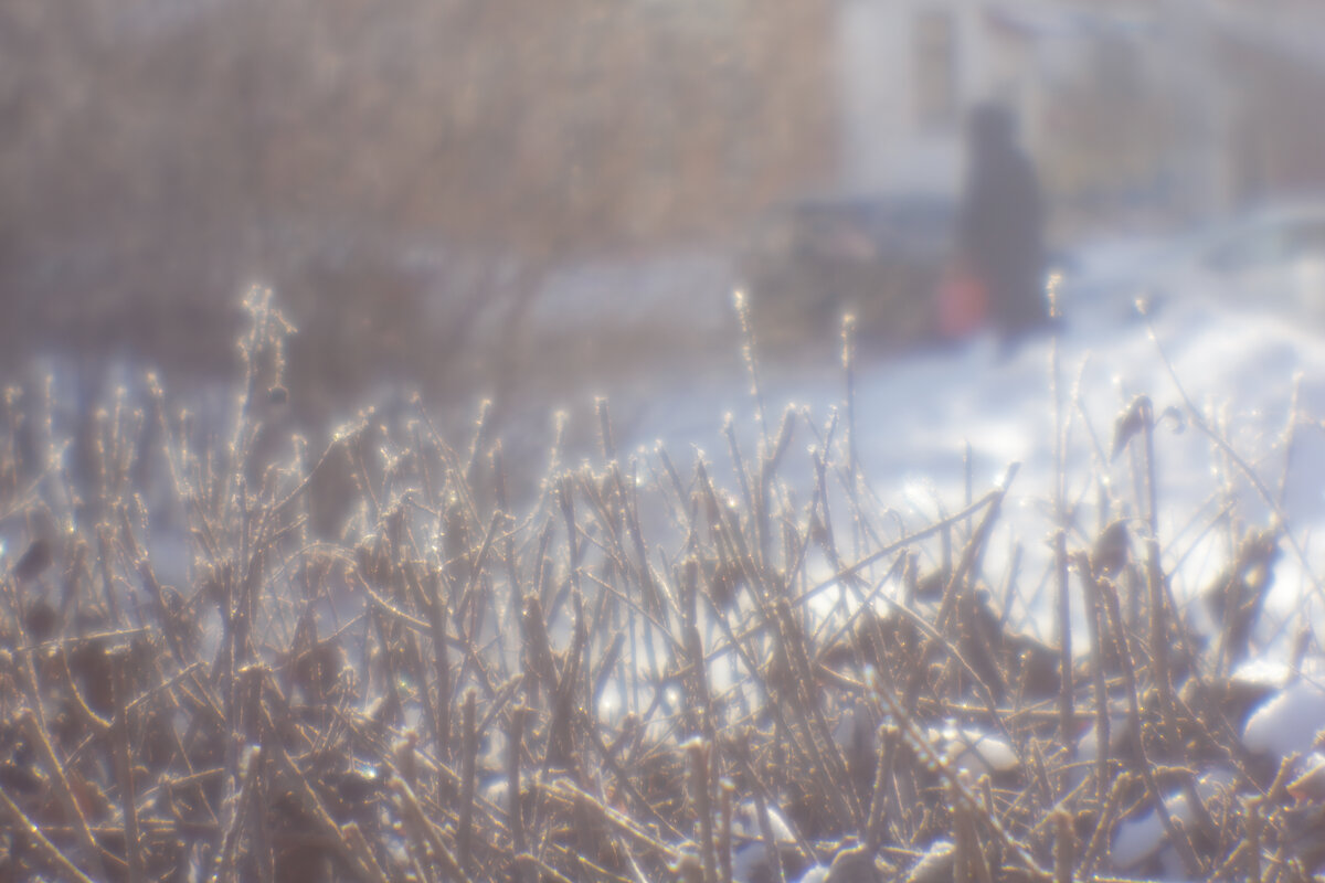 Моноклёвая картинка - Александр Лисовский