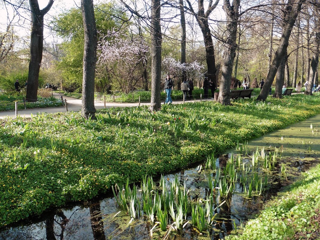 Апрель в Аптекарском огороде - Лидия Бусурина
