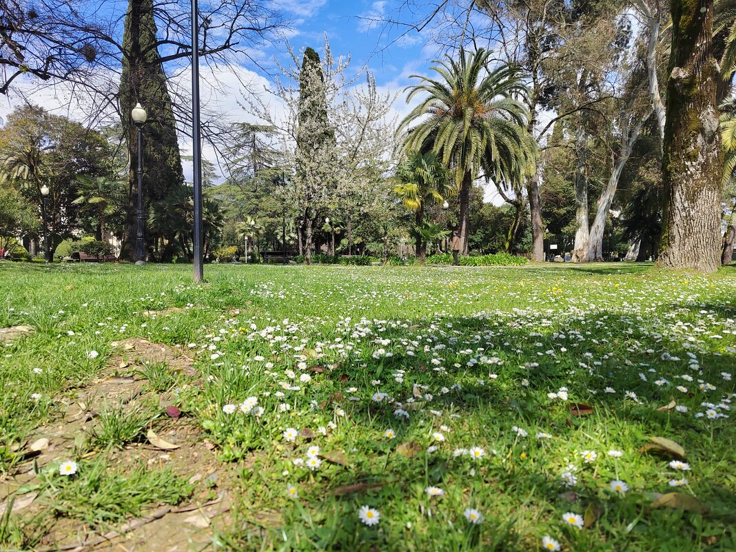 Весна, похожая на лето - Фотогруппа Весна