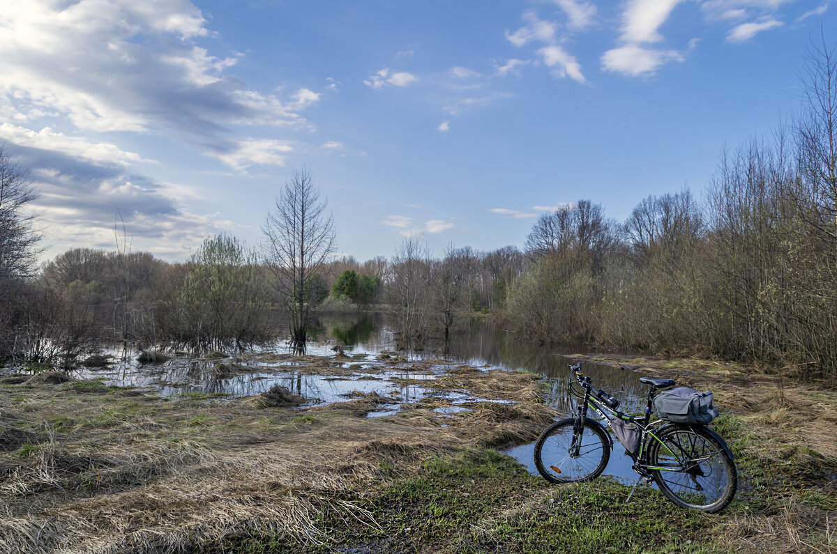В разливе - Сергей Цветков