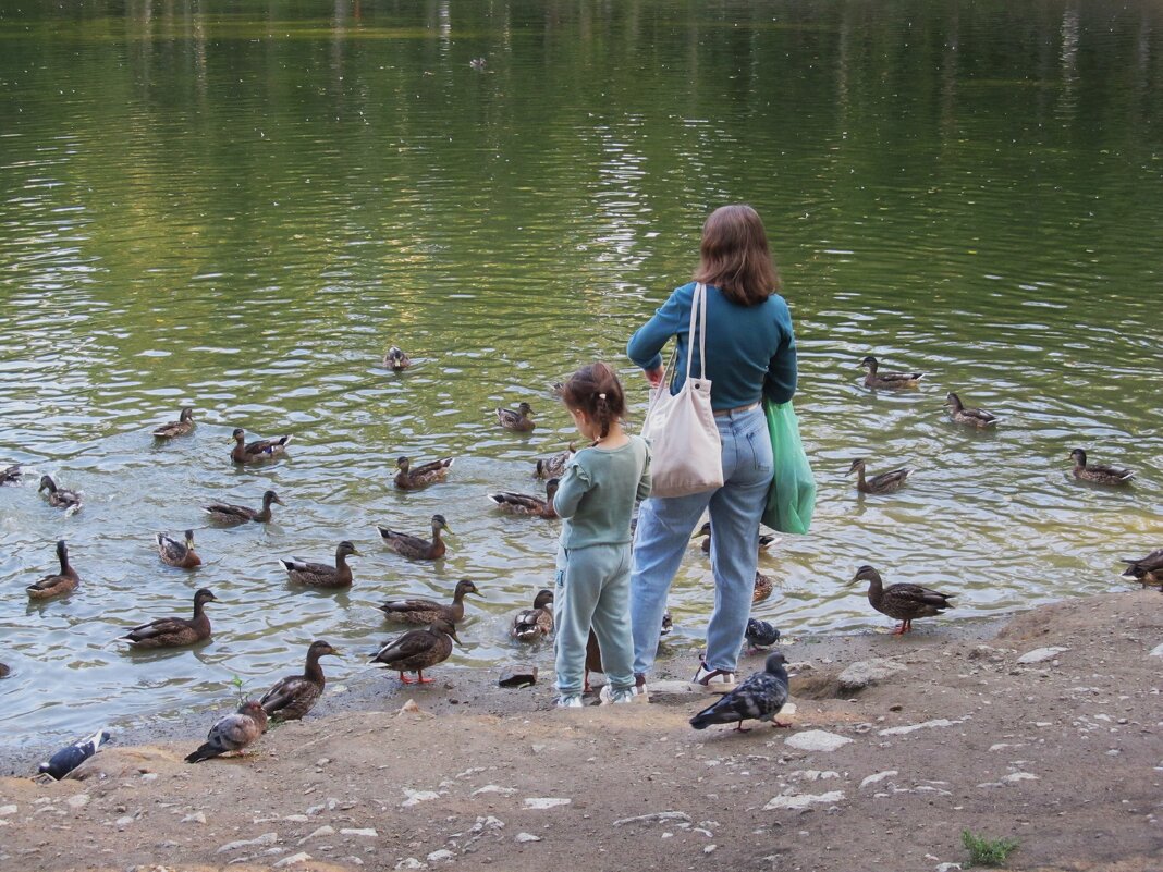 В Харитоновском парке - Елена Шаламова