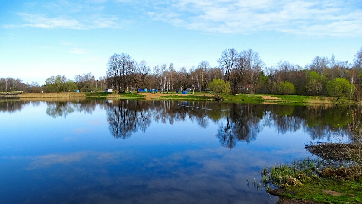 Весна в конце апреля. - Милешкин Владимир Алексеевич 