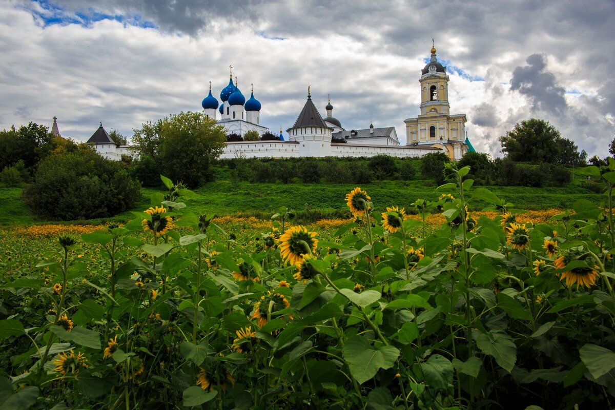 Старый  Серпухов - Владимир Гришин
