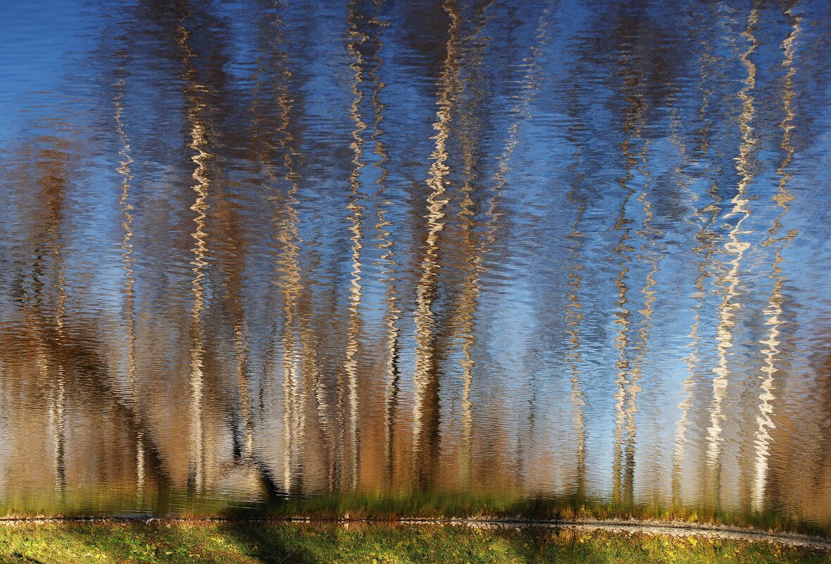 /// - Виктор Никитенко