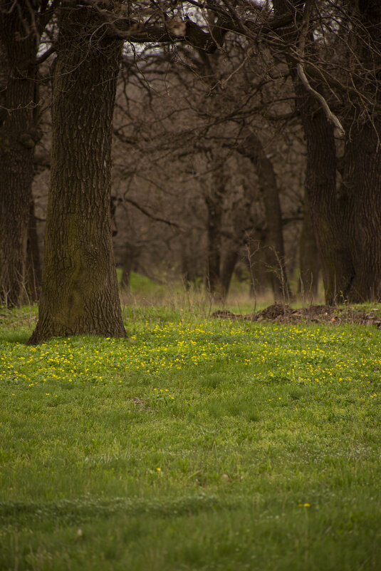 *** - Яна Горбунова