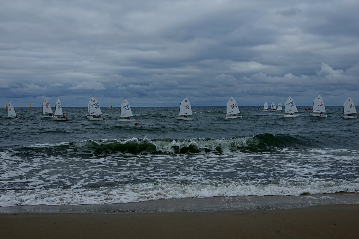 Балтийская регата - Виктор Савельев
